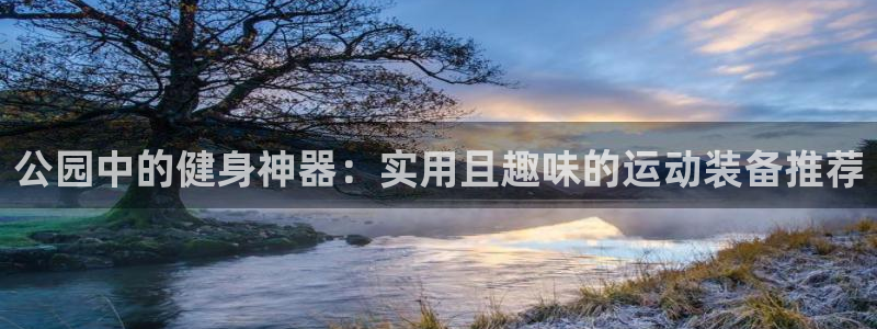 熊猫平台体育:公园中的健身神器:实用且趣味的运动装备推荐